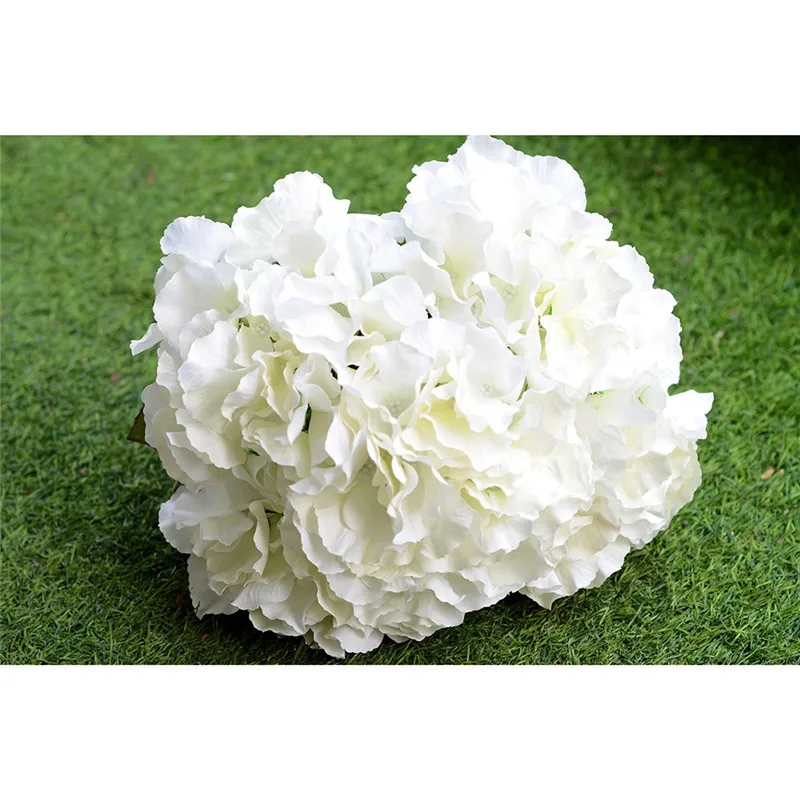 ZS461White (10)