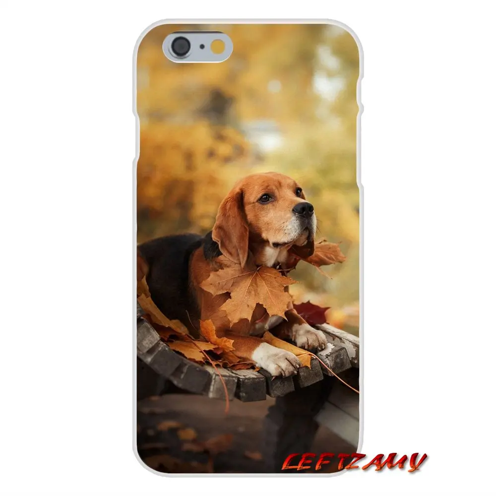 Модные мягкие прозрачные чехлы для iPhone X XR XS MAX 4 4S 5 5S 5C SE 6 6S 7 8 Plus ipod touch