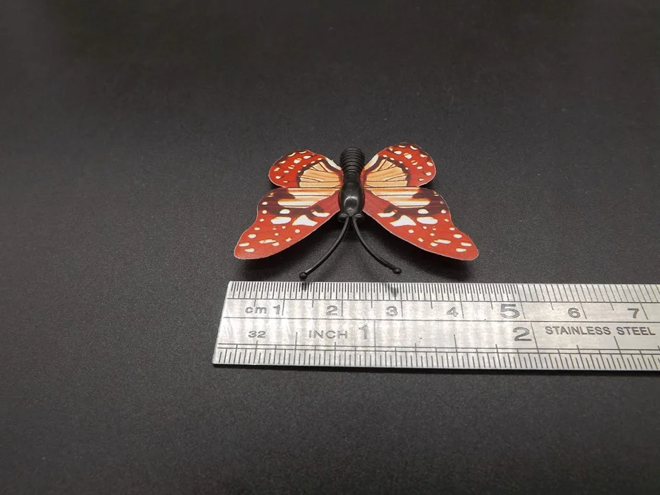 I257-Butterfly (12)