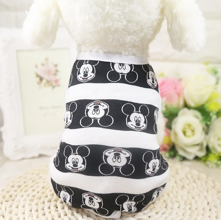 3989977845_799069744