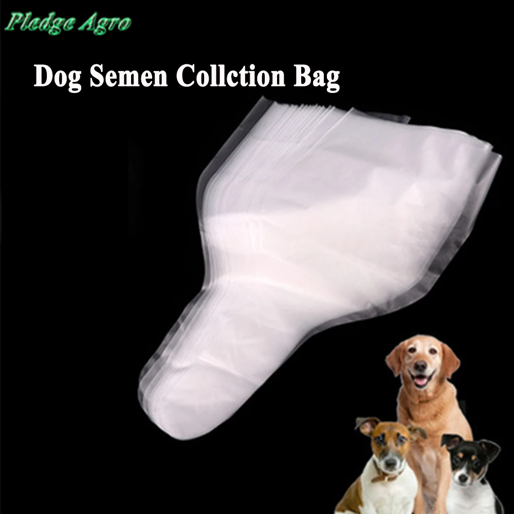 What Is The Color Of Dog Sperm