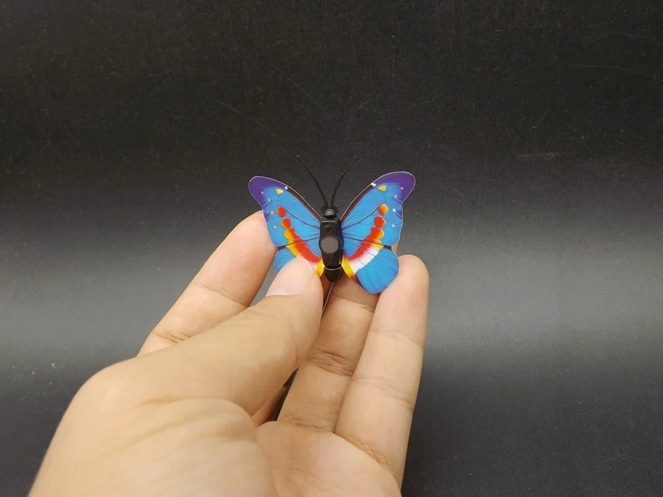 I266-Butterfly (4)