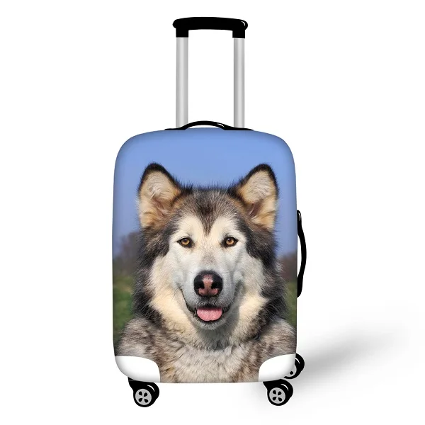 native american print luggage