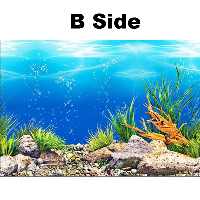 Poster Decor Aquarium Poster Decor Aquarium