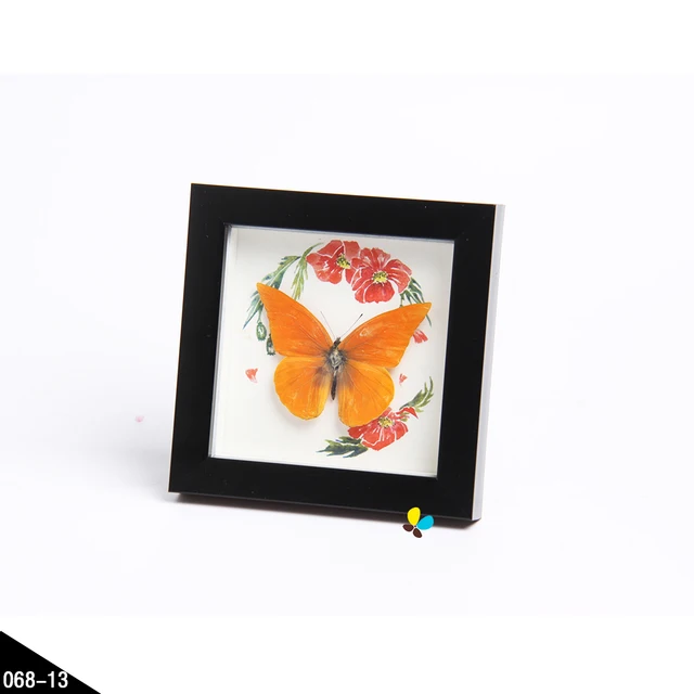 40 40 Framed Real Butterfly Insects Dragonfly Shadow Box Home Simple How To Decorate Shadow Boxes 40 40 Framed Real Butterfly Insects Dragonfly Shadow Box Home Simple How To Decorate Shadow Boxes