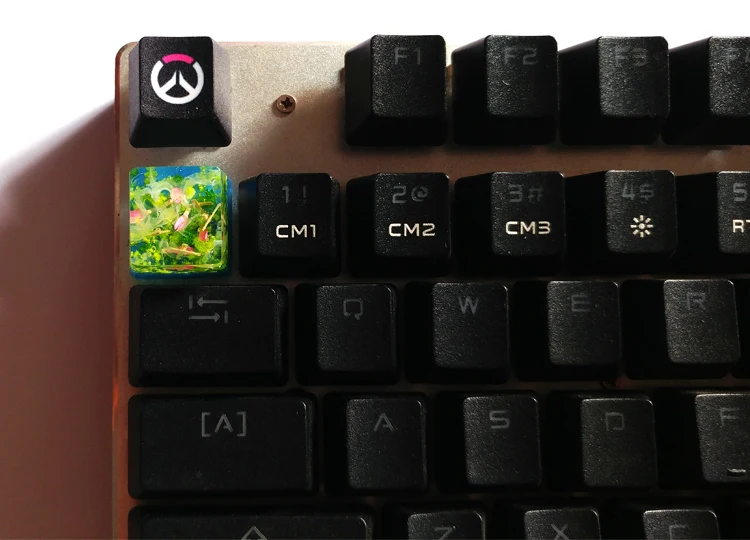 manual personalizado retroiluminado tampa r4 altura