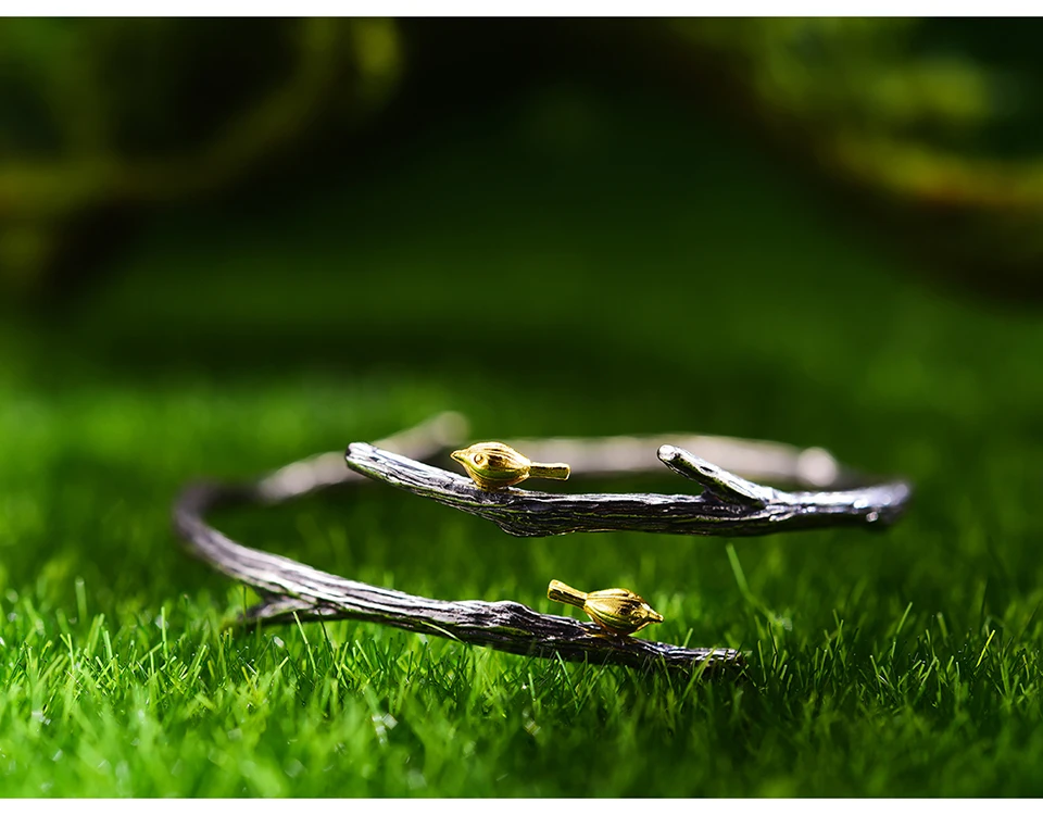 LFJH0009-Bird-on-Branch_11