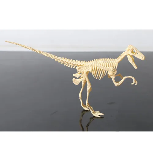 3D DIY Dinosaur Skeleton Assembled Models Toy,3D Excavation Dig kits Series Mini Triceratops/Stegosaurus/Velociraptor Puzzle Toy 8
