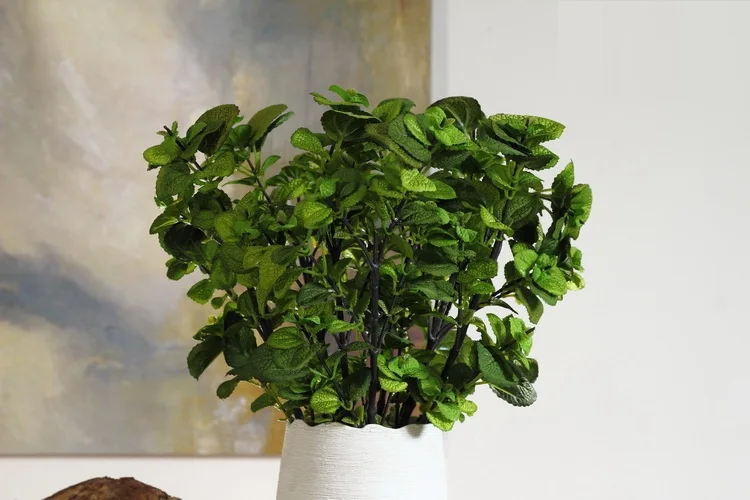 3213736520_1986750399