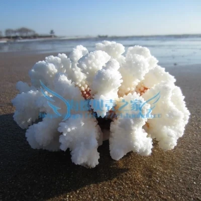 

070634 white coral reef fish tank aquarium rockery stone ornaments fish tank aquarium landscaping decorative