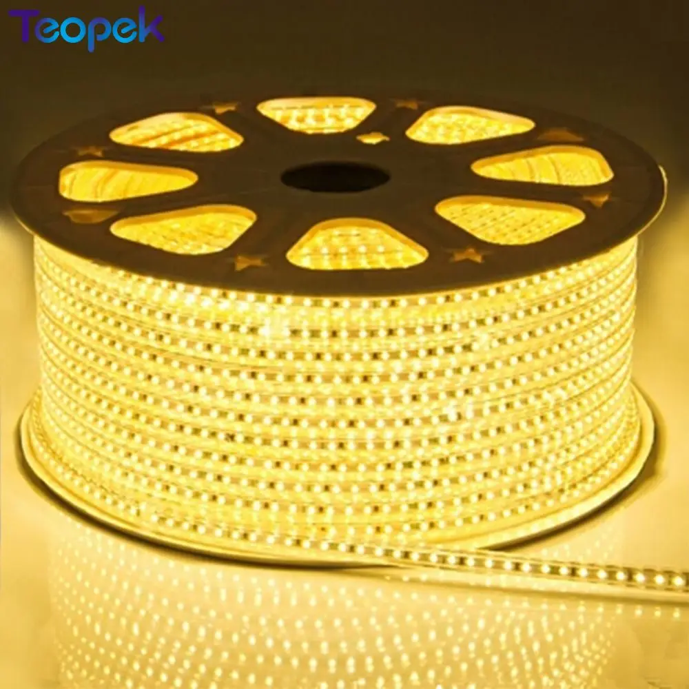 LAIMAIK-LED-Strip-Light-5050-Waterproof-IP67-AC-220V-LED-Light-Strip-60leds-m-5050SMD-LED (4)