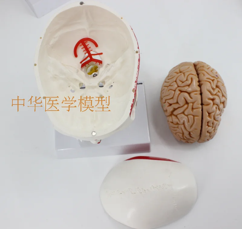 //img.alicdn.com/imgextra/i1/403496940/TB27R54aNhmpuFjSZFyXXcLdFXa_!!403496940.png