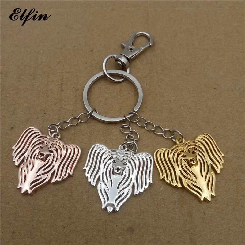 E08DCE8EAF826CDBD3F02F5E5AF40CB6