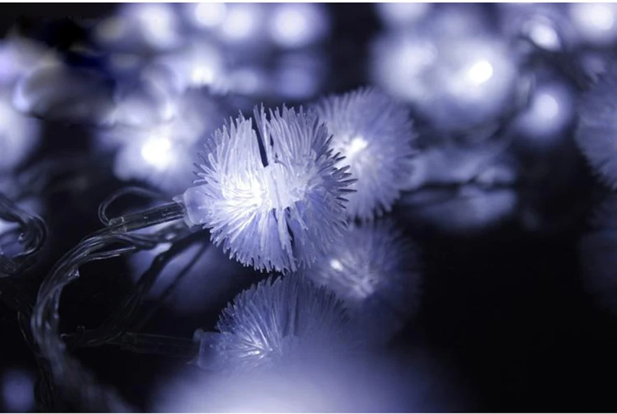 led light string
