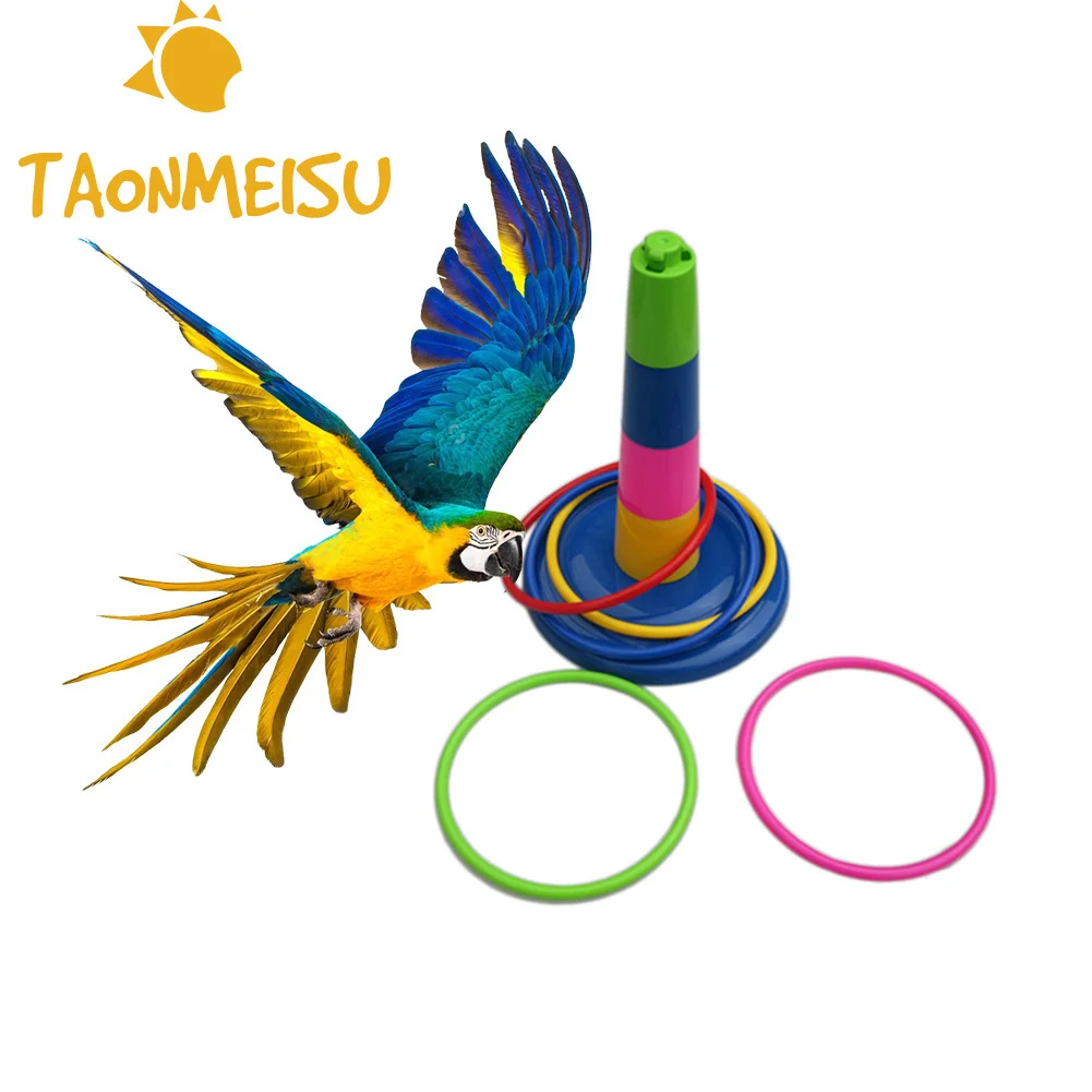 Parrot Bird Educational Toys Develop Birds Intelligence Ring Toy