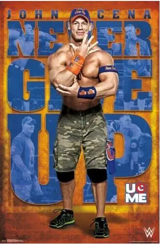 JOHN CENA - 2017 WWE WRESTLING SILK POSTER Decorative painting 24x36inch