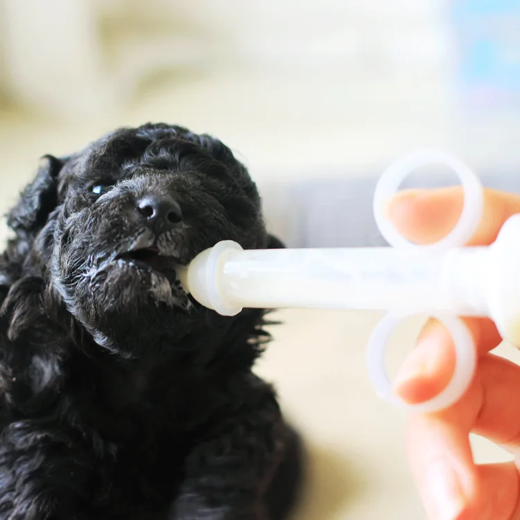 puppy bottle feeding walmart aliexpress buy pet small puppy cat milk nursing bottle baby cat care pup puppy bottle feeding walmart aliexpress buy pet small puppy cat milk nursing bottle baby cat care pup