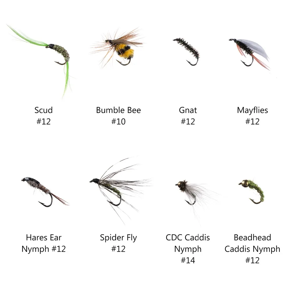 BH3007 flies 4