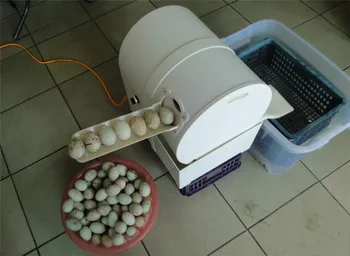 

Egg washing machine hens egg washer goose egg cleaning machine egg washing machine