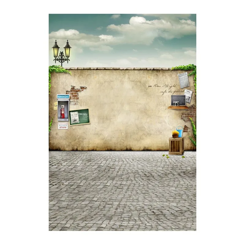 

1.5X2.2M Thin Vinyl photography backdrop Customize Newborns Studio Backdrop Digital Printing Background Vintage Old Wall S-495