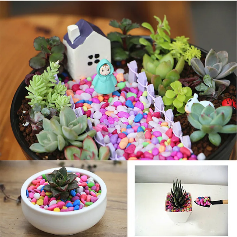 50G Juicy seeds Ass Seed Flower Living Stone Bonsai Natural Colorful Stone new home decor #3d05 (1)