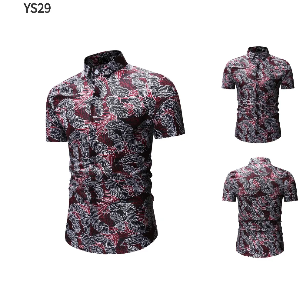 YS29-1