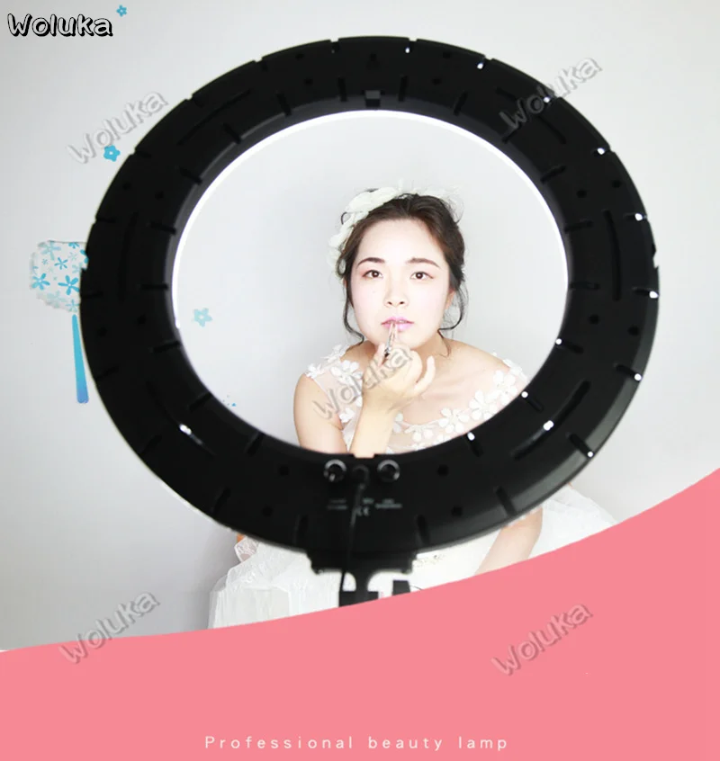 36020190125095952981