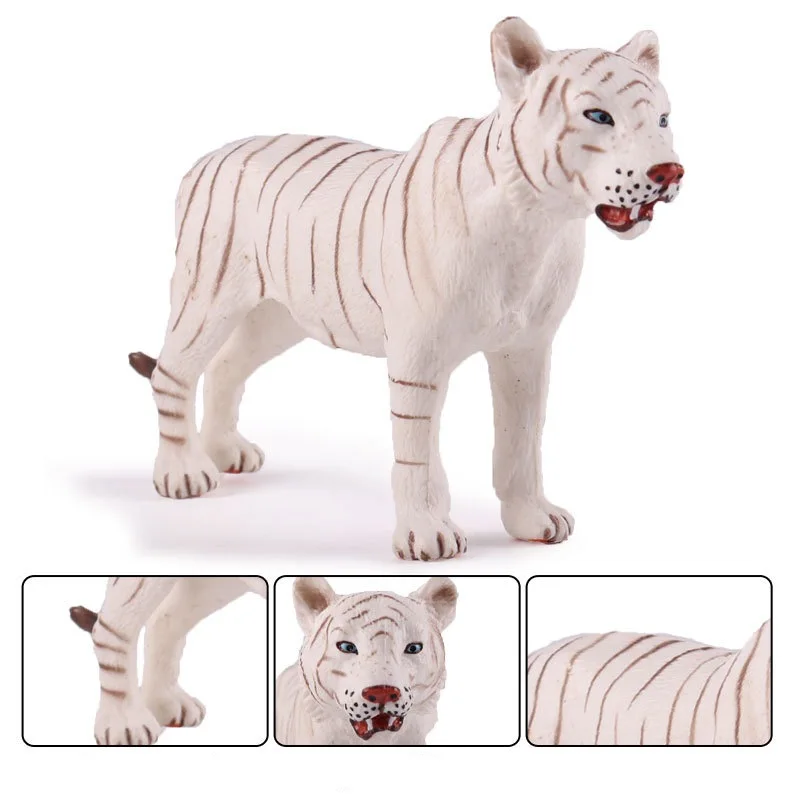 Bengal White Tiger (3)