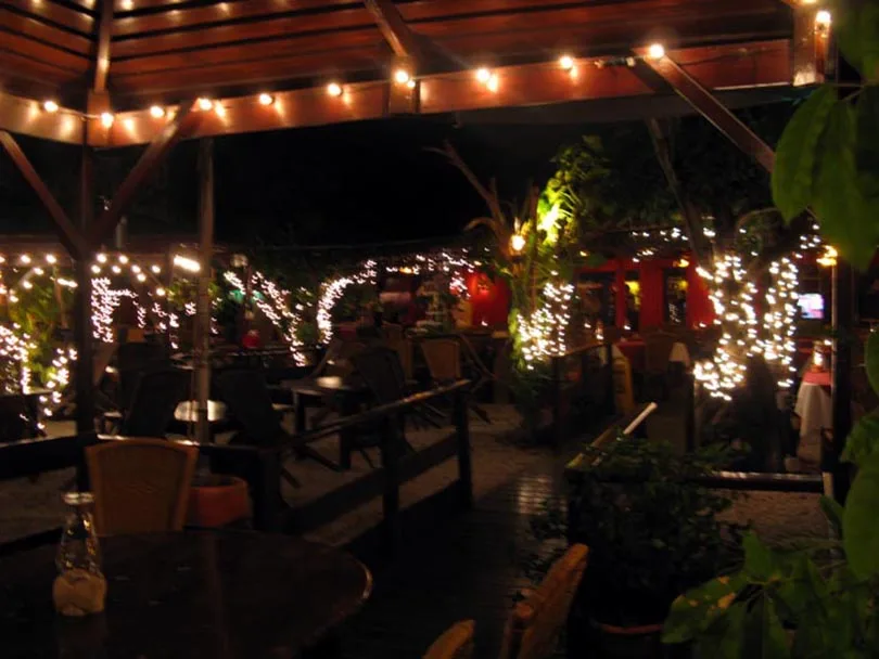 led ball string lights