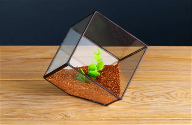 Plant Solder Terrarium 5.jpg