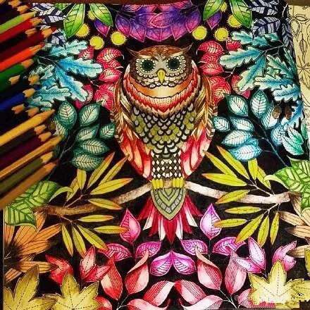 Secret Garden An Inky Treasure Hunt And Coloring Book Adult Relieve Stress Relax Gown Up Graffiti Painting Drawing In Books From Office