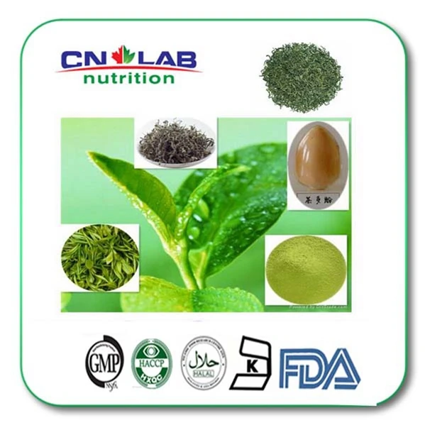 Экстракт Зеленого Чая Купить Оптом