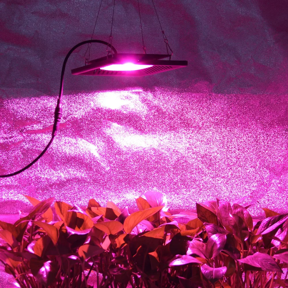 COB Led Grow Light Full Spectrum 100W 200W Waterproof IP67 for Vegetable Flower Indoor Hydroponic Greenhouse Plant Lighting Lamp