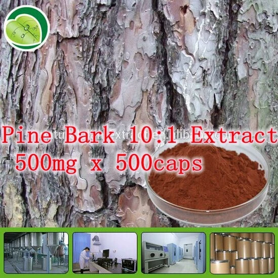 

5Pack High Quality Natural Pine Bark 10:1 Extract 500mg x 500caps free shipping
