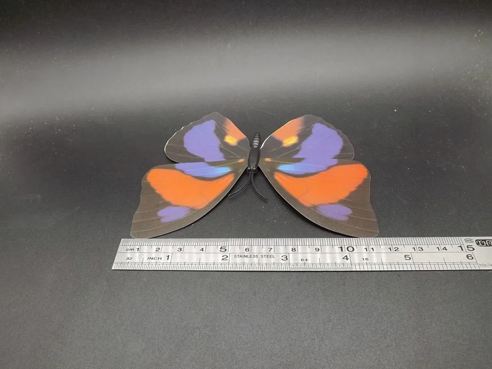 I240-Butterfly (11)