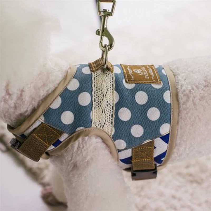 chihuahua dog accessories (9)