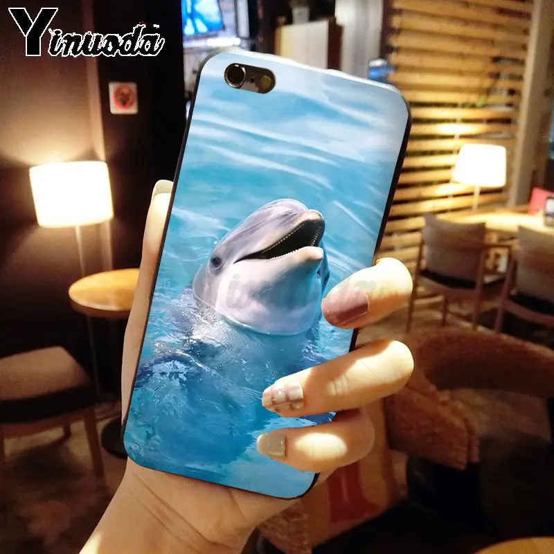 Dance Of Dolphin