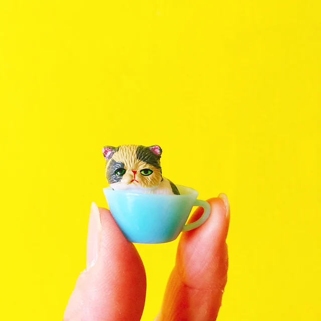 śliczne Kitty W Kubekorangezielonyniebieskiminiaturypiękny Kot