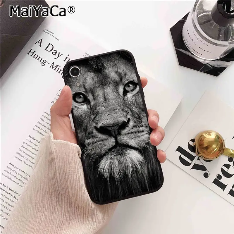Animals Lion Wolf Owl Elephant Lion Tiger