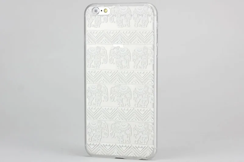 wwf-A000950_01