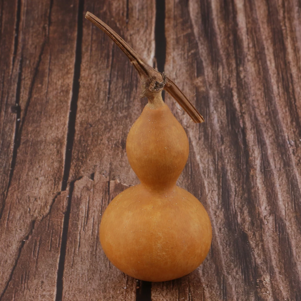 Natural Dry Gourd Bottle Home Table Decor Dried Flowers Fruits Ornament for Wedding Party Christmas Decors DIY Photography Props