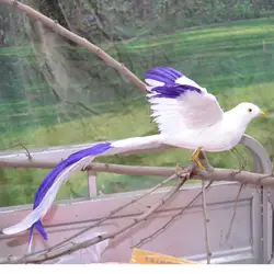 Красивые моделирования крылья птица Феникс игрушки меха длинный хвост птицы подарок около 50x25 см