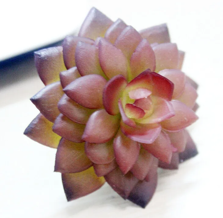 200 шт Мини фиолетовое искусственное суккулентное растение пустыня Роза пластиковый цветок эчеверия звезда украшение стола