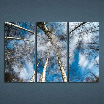 

3 Pcs/Set Framed HD Printed Towering Trees Clouds Sky Picture Wall Art Canvas Print Decor Poster Canvas Modern Oil Painting