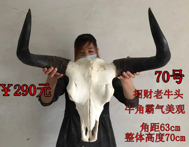 

head Arts Crafts The bone ornaments handicrafts sheep bone specimens handicraft Tau