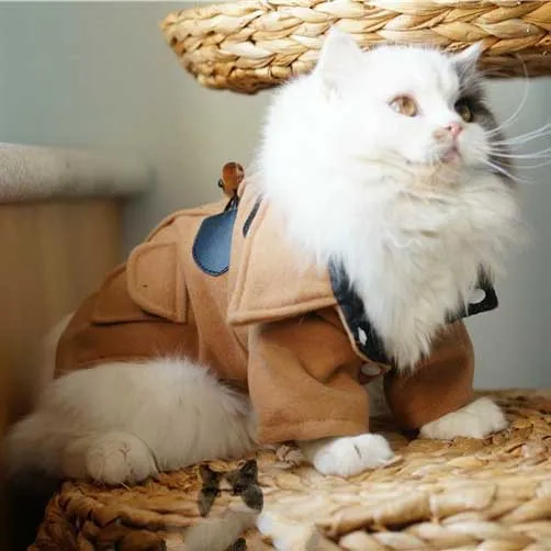 

Cats Woolen Jacket Kitten Dog Pets Trench Coat Winter Clothes S-XXL Brown Gray