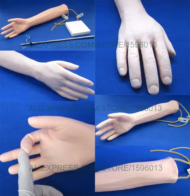 S IV Arm Model (1)