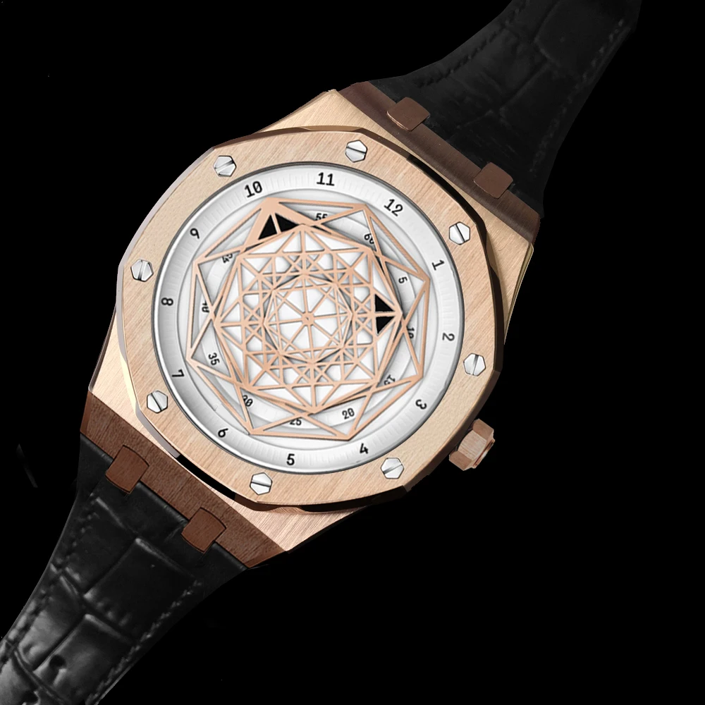 

DIDUN Watch Men Luxury Brand Automatic Mechanical Watch Men Dress Business sport Watch Luminous Wristwatch 30m Waterresistant