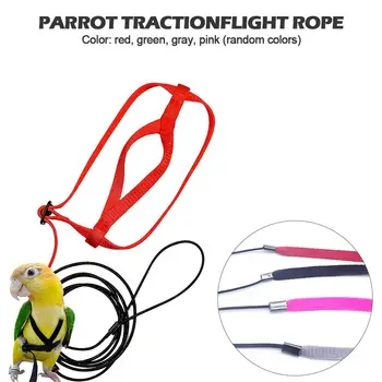 

Bird Parrot Harness Leash Ultralight Anti-bite Bird Flying Traction Rope Training Leashes Outdoor Carrying For Parrots Birds