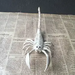 Модель скелета животного Мышь крысы/паук/Скорпион кости Хэллоуин вечерние украшения MYDING